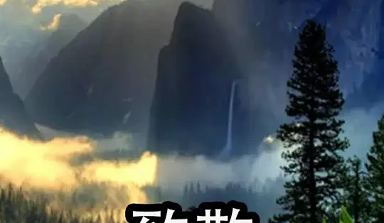 群像式警区日夜